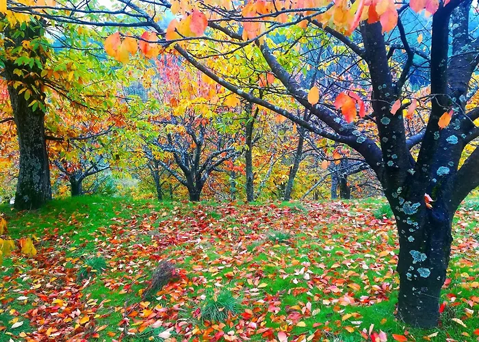 La Albarea By #Cherrygredos